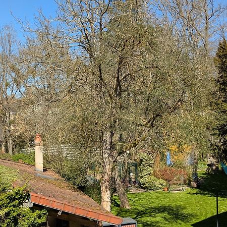 La Maison D'A Cote Saint-Amand-en-Puisaye Екстериор снимка