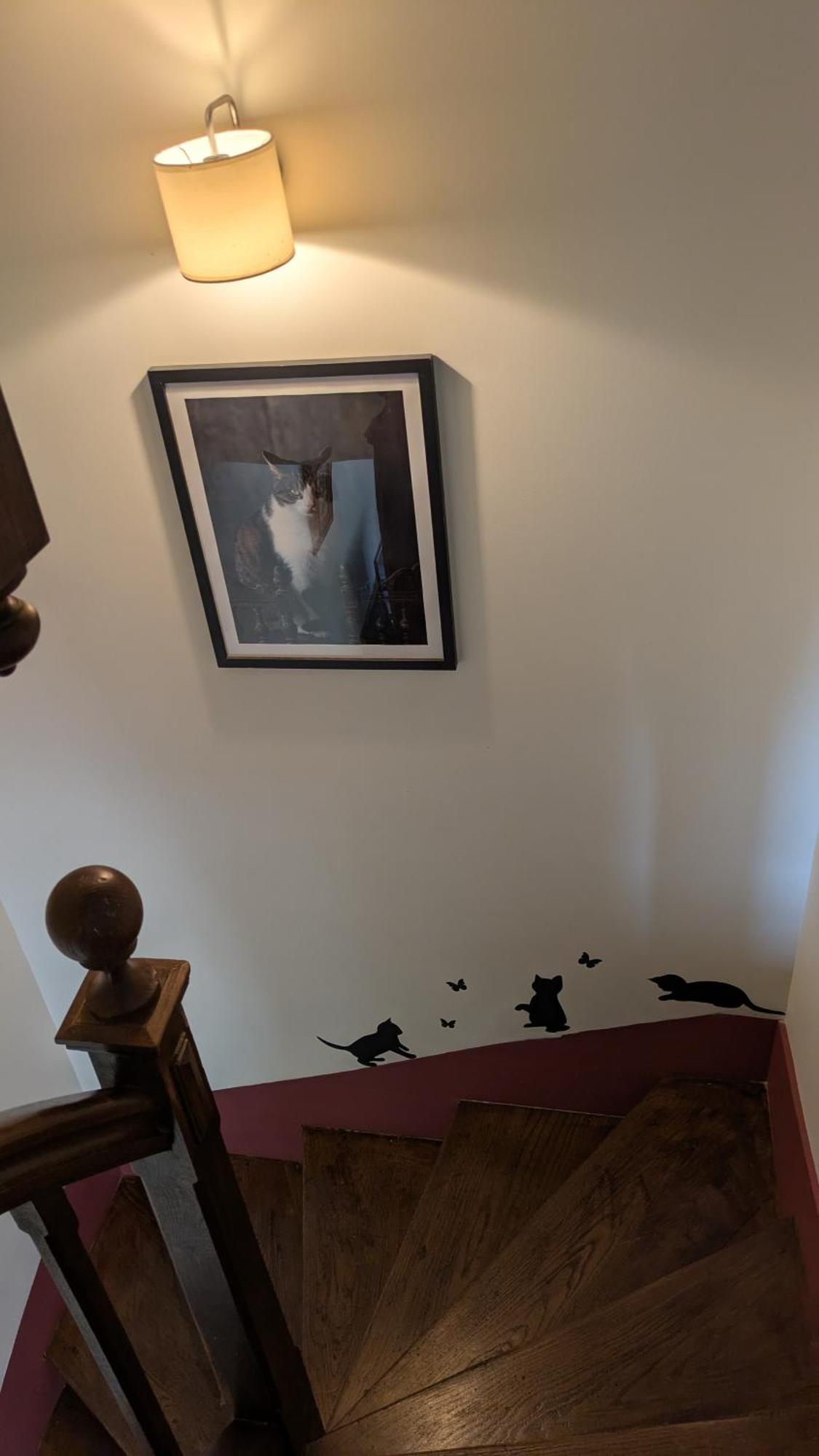 La Maison D'A Cote Saint-Amand-en-Puisaye Екстериор снимка